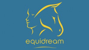 https://www.matho-graphics.be/wp-content/uploads/2016/03/equidream-logo-296x167.jpg